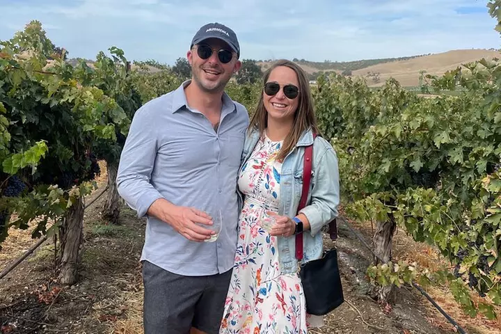 Vineyard Rides Paso Robles Sidecar Wine Adventure