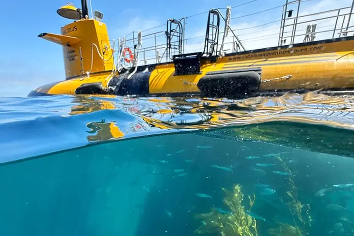 Yellow Semi-Submarine Tour of Catalina Island From Avalon - Primary Image