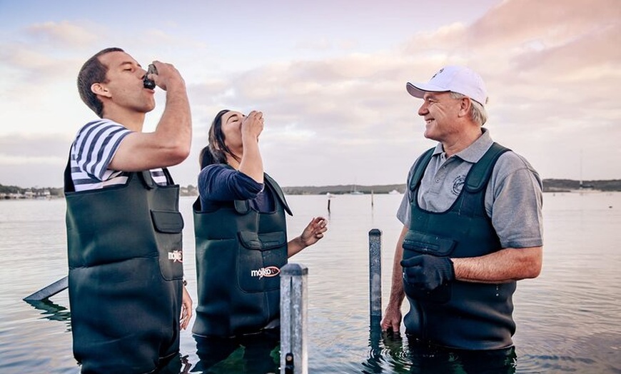 Image 4: Port Lincoln and Coffin Bay Day Tour