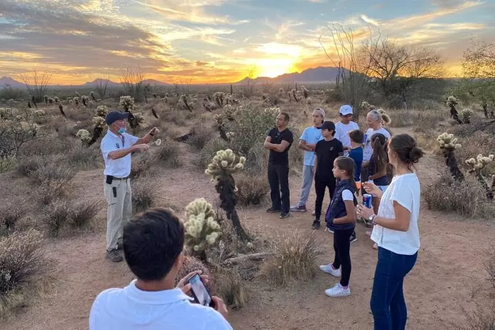 Sonoran Desert Jeep Tour at Sunset