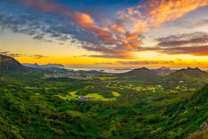 Oahu's Ultimate Tour: Dole, Turtle Snorkel, Pali Lookout & More