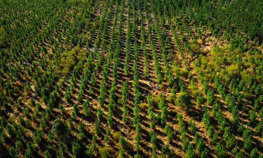 Image 6: Wooditjup Trails MTB Tour