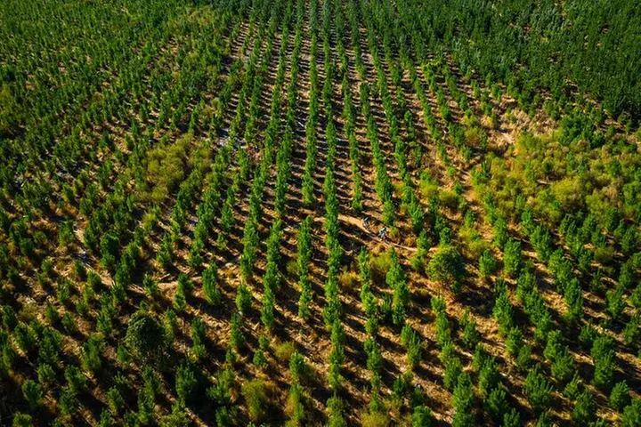 Wooditjup Trails MTB Tour - Image 6