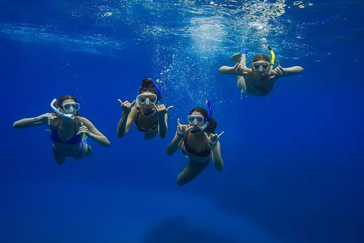 Kayak, Whale Watch, and Snorkel With Optional Photo and Video