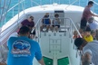 Day Tour Glass Bottom Boat In Islamorada - Second Medium