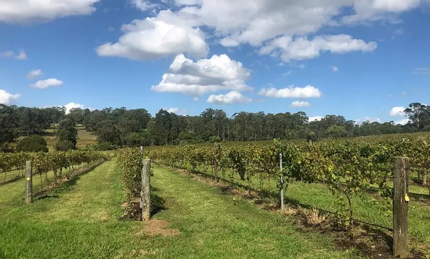Image 15: Sydney Hunter Valley Boutique 4WD Tour with Lunch and Sunset