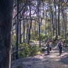 Image 9: Pedal and Picnic in Tathra E-Bike Self-Guided Picnic Tour