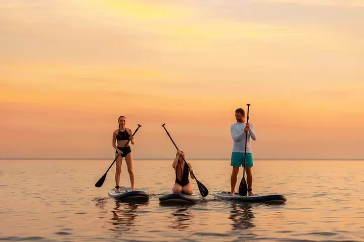 Sunset Bioluminescent Comb Jelly & Dolphin Tour