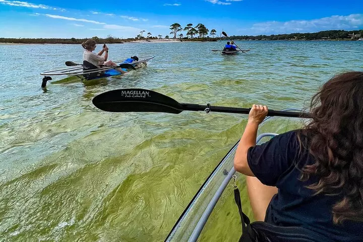 Clear Kayak Ecotour Destin Ft. Walton Beach - Primary Image