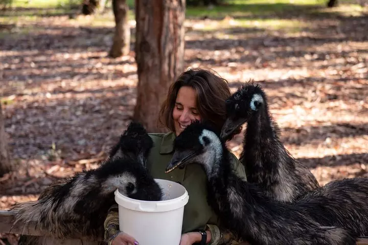 Hidden Gems: Boutique Full-Day Wine, Farm & Lunch Tour