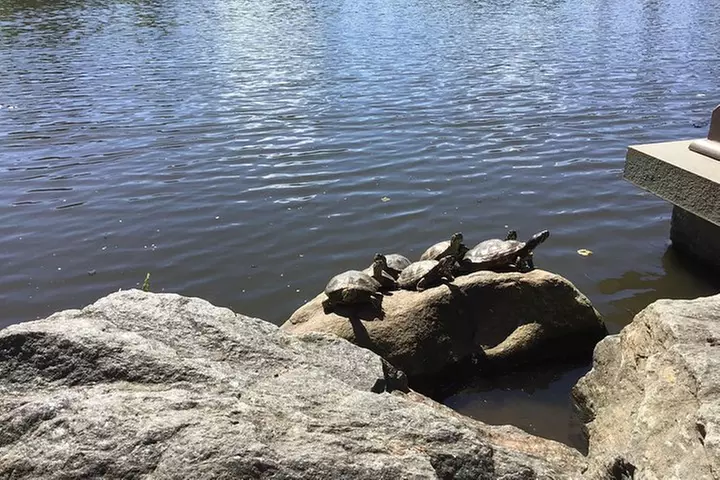 Central Park Guided Walking Tour