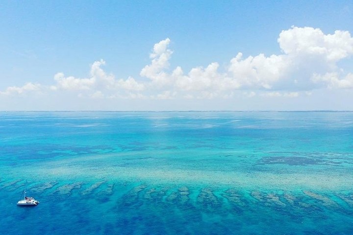 Key West Snorkeling with Breakfast and Unlimited Mimosas