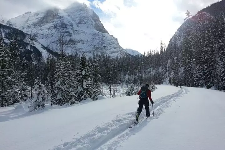 Ski Touring and Splitboarding in Banff Beginner - Second Medium