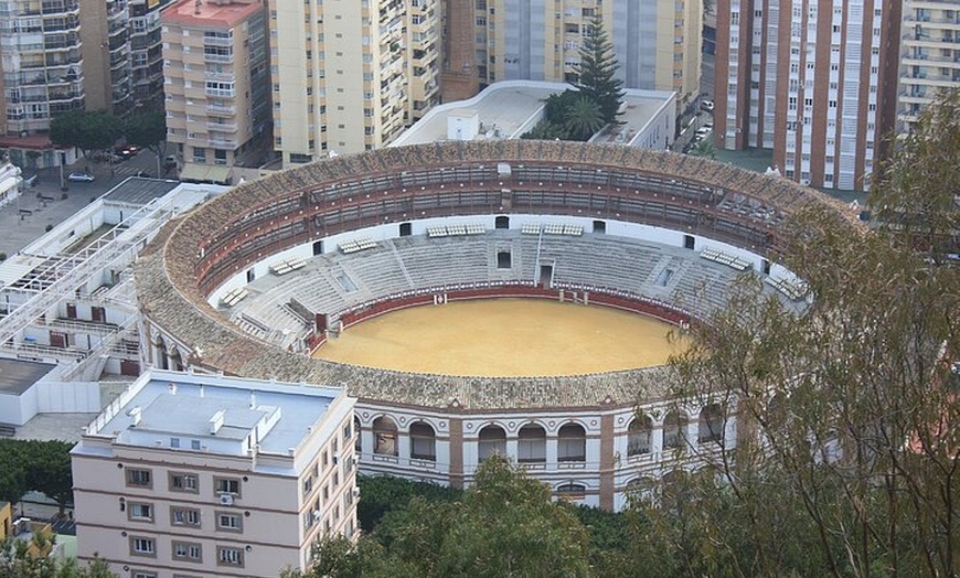 Image 6: Tour privado a pie por la historia de Málaga