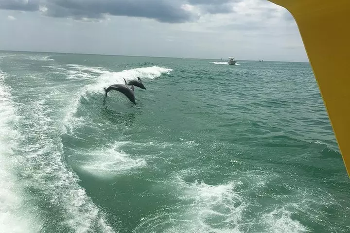 Sea Screamer Boat Cruise in Clearwater Beach with Transport
