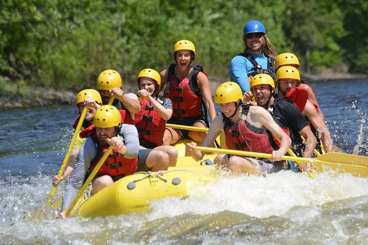 Half-Day White Water Rafting on the Rouge River - Primary Image