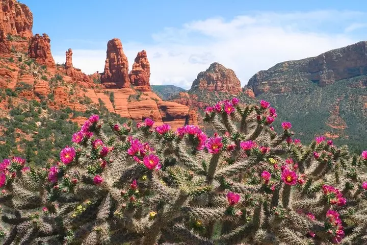 Arizona Winery All-Inclusive Tour with Lunch & Tastings