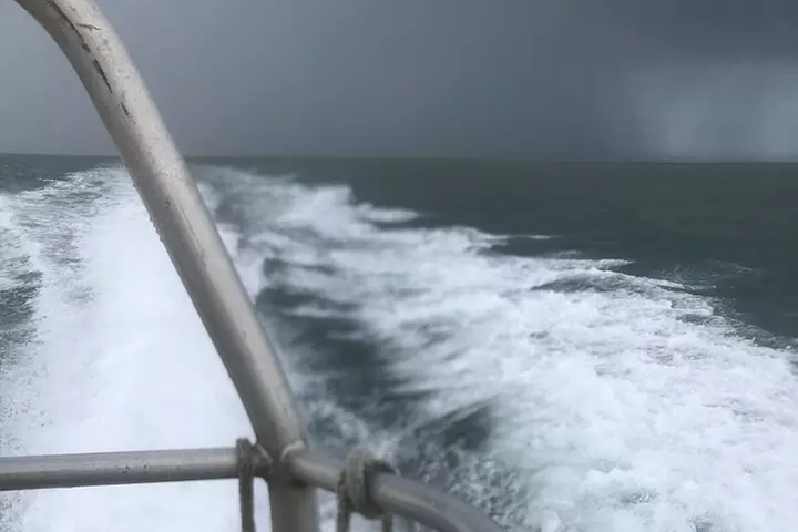 Scroby Sands Seal Watching