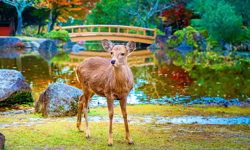 Image 22: ✈ JAPAN | Von Tokio nach Osaka - Weltausstellung und Entdeckung Jap...