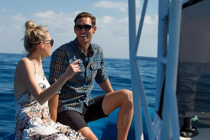 Private Tangalooma Wrecks Tour