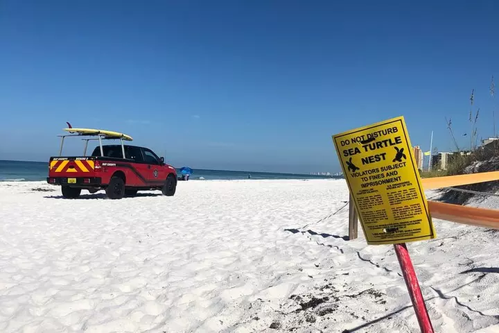 State Park E-Bike Tour: Alligators, Pier, & More [SELF-GUIDED]