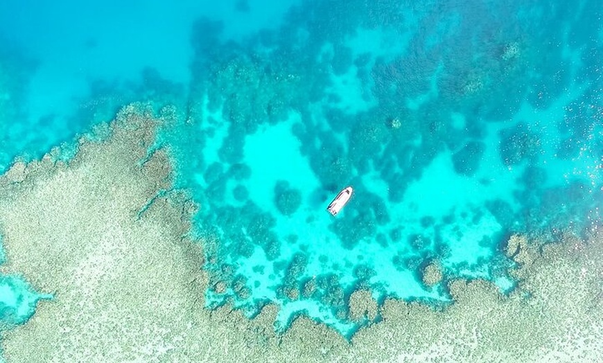 Image 1: Half Day Outer Reef Snorkelling Tour from Port Douglas