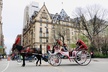 NYC Horse Carriage Ride in Central Park (50 Min. Up to 4 Adults) - Second Medium