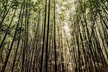 Hike Trail to Waterfall & Nature Walk - Second Medium