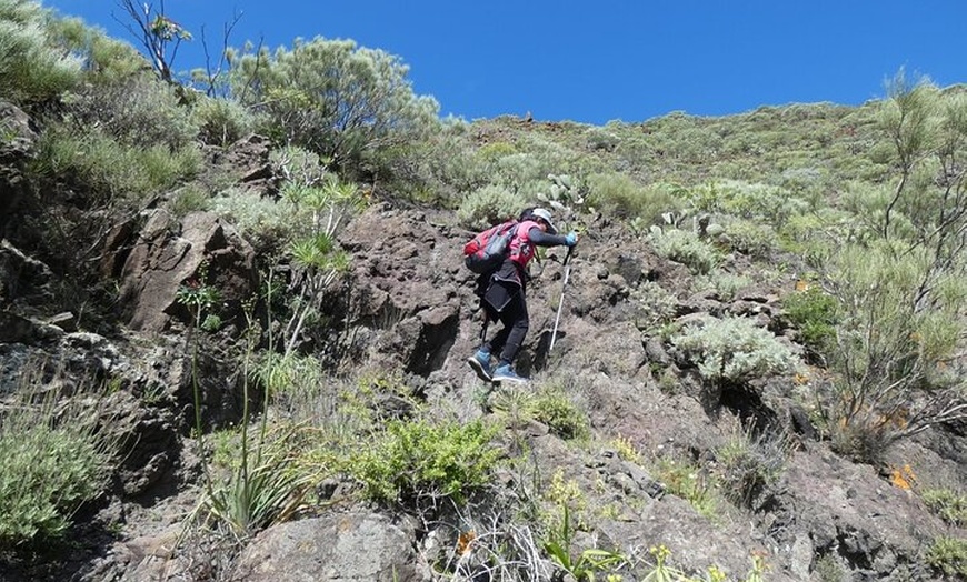 Image 17: Senderismo en el cañón de Cuevas Negras en Tenerife
