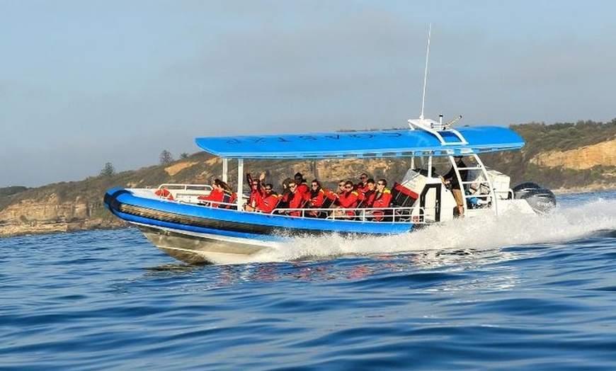 Image 4: Hunter Coastal Adventure Tour by Boat from Newcastle