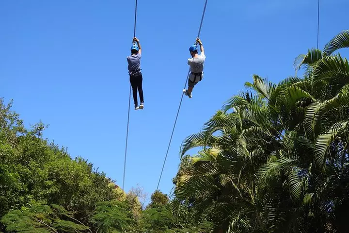 Rain Forest Zip Line Park plus Rain forest Hiking Tour - Second Medium