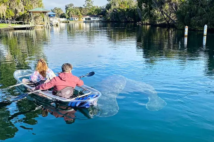 Crystal River Three Sisters Springs and Manatee Clear Kayak Tours
