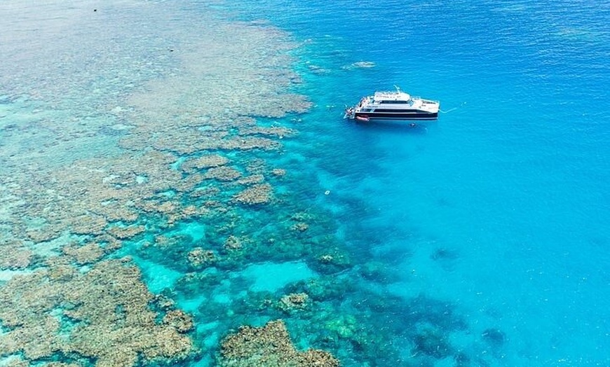 Image 3: Great Barrier Reef with Cultural Guides-Dreamtime Dive & Snorkel