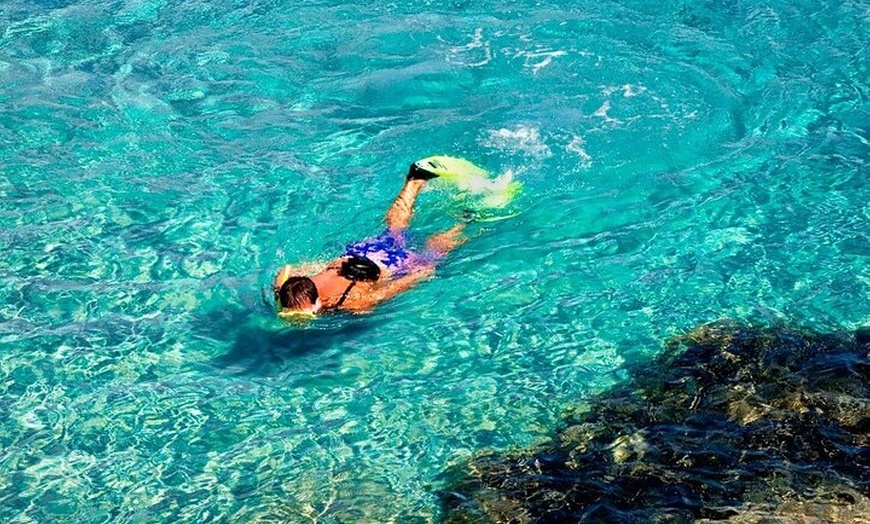 Image 6: Excursión de un día a la isla de Tabarca desde Murcia o Torrevieja