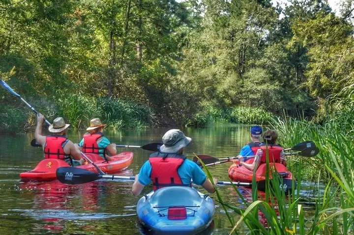 Kayak Swamp Tour with Transportation from New Orleans - Primary Image