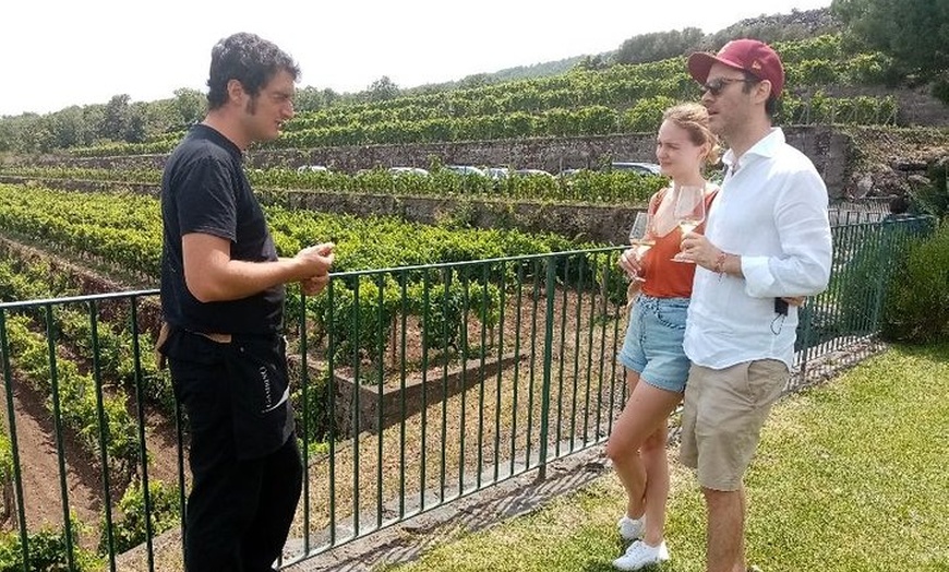 Image 22: Tour privato di 6 ore di tre aziende vinicole dell'Etna con degusta...