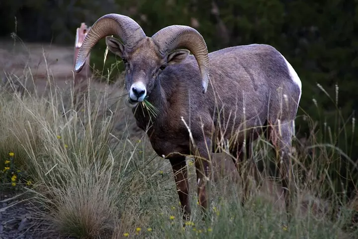 Colorado National Monument Self Guided Audio Driving Guided Tour