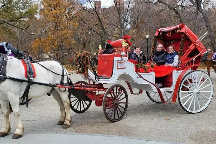 Private NYC Central Park Horse Carriage Ride (Guided) Since 1965™