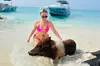 Half Day - Pigs, Turtles, Snorkel & Lunch