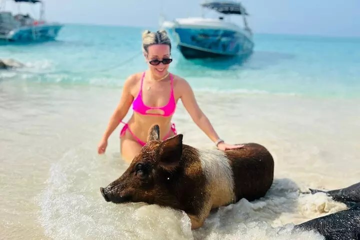 Half Day - Pigs, Turtles, Snorkel & Lunch - Primary Image