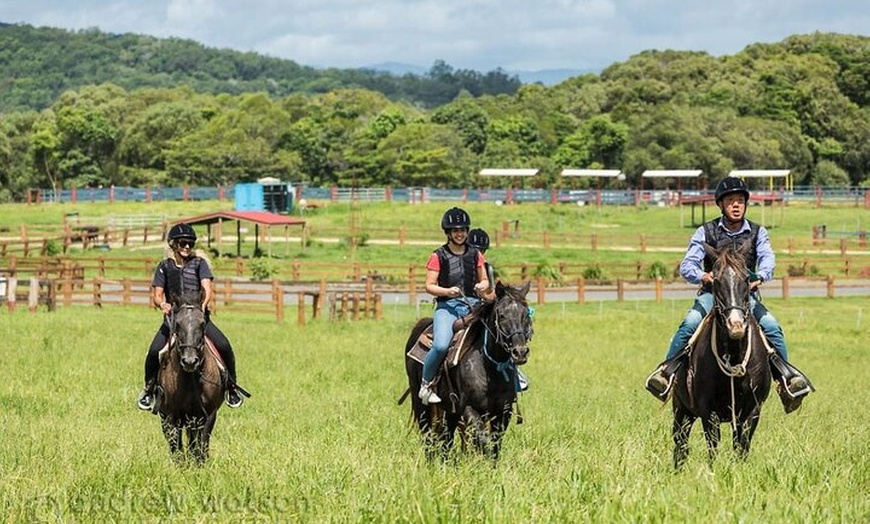 Image 6: Horse and Quad bike tour with a visit to a Petting Zoo