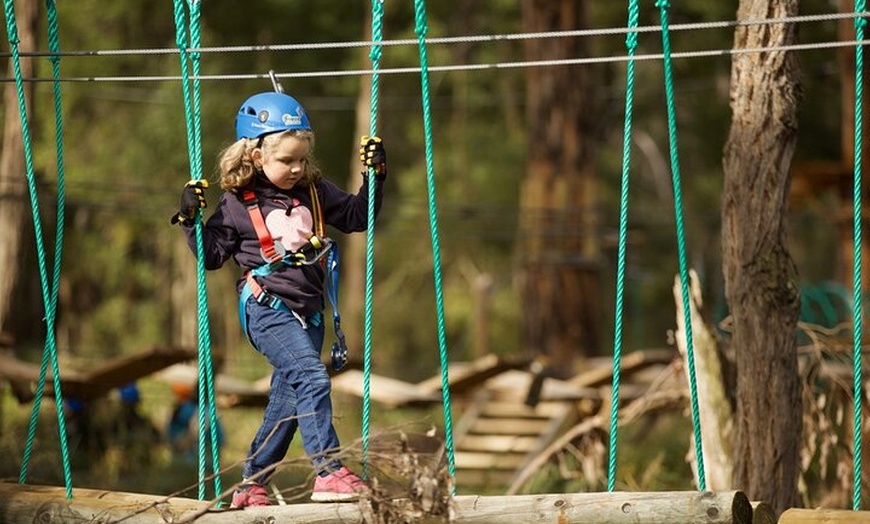 Image 7: Lane Poole Park Dwellingup - Junior Tree Ropes & Ziplining
