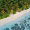 Image 18: ✈ MALDIVEN | Vaavu Atoll - Plumeria Maldives 4*, 5 nachten - Privés...