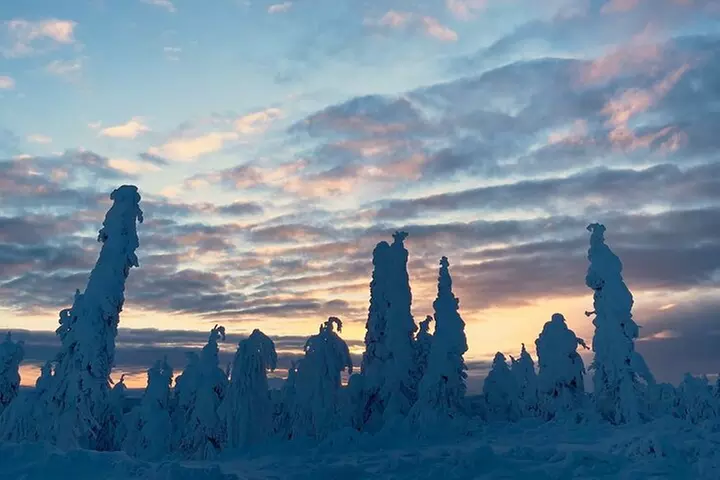 Arctic Circle Day Tour Adventure
