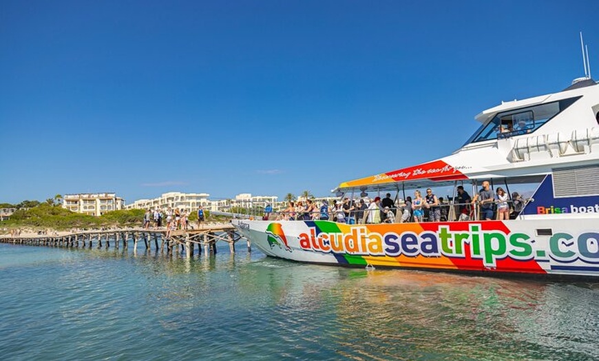 Image 7: Dolphin Adventure : Avistamiento de Delfines en Barco Rápido en Mal...