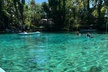 Three Sisters Springs Kayak and Swim Tour with Free Photo Package - Second Medium