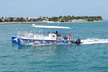 Shark and Wildlife Viewing Adventure in Key West - Second Medium