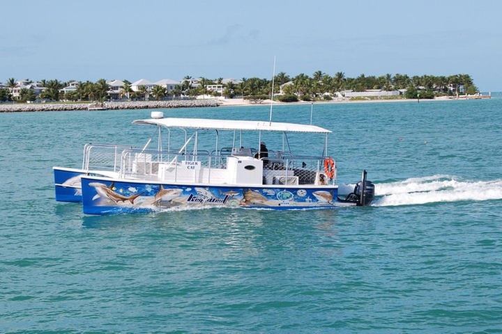 Shark and Wildlife Viewing Adventure in Key West