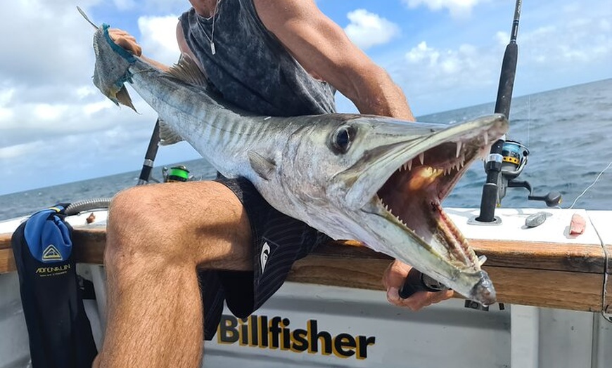 Image 1: Full Day Whitsunday Reef Fishing Charter Boat