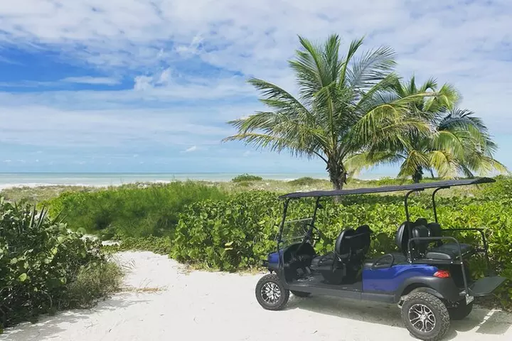Street-Legal Golf Cart Rentals - Primary Image